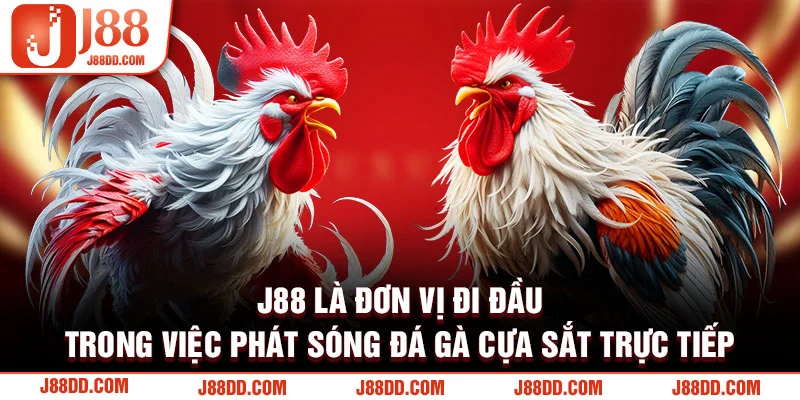 J88 phát sóng đá gà trực tiếp